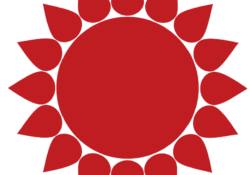 logo-paolobelli