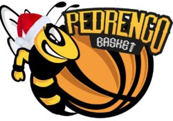 logo-pedrengo-natale