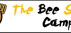 the-bee-summer-camp-banner