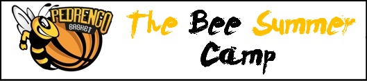 the bee summer camp